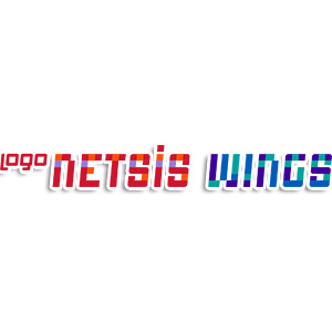 logo netsis wings muhasebe programı