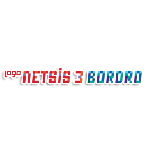 logo netsis 3 bordro muhasebe programı