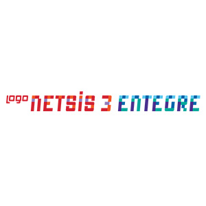 logo netsis 3 entegre muhasebe programı